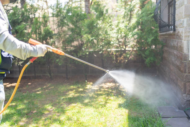 Best Lawn Pest Control  in Clinton, MI